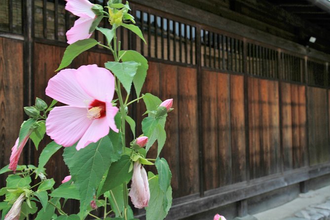 Private transfer Kanazawa to Takayama Including Shirakawago - Who This Tour Suits Best (And Who Might Skip It)