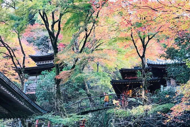 Private Walking Tour in Bamboo Forest & Hidden Spots in Arashiyama - Sagano first, bamboo second: why this walk feels more local