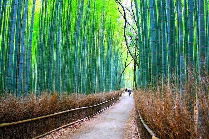 Private Walking Tour in Bamboo Forest & Hidden Spots in Arashiyama - The stop-by-stop route, what each place adds