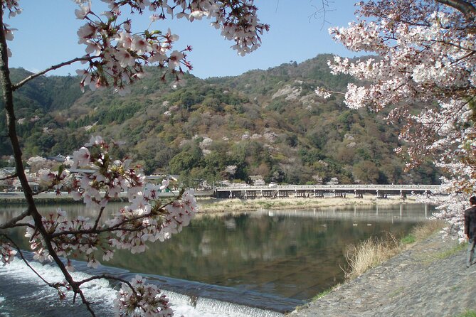 Private Walking Tour in Bamboo Forest & Hidden Spots in Arashiyama - Price and what you actually get for about $86