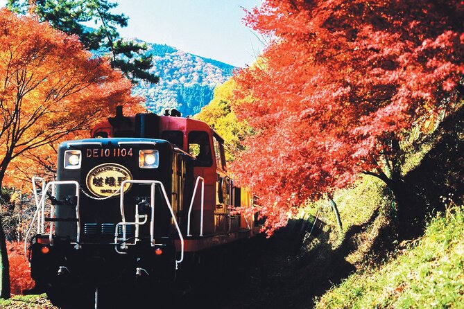 Sagano Romantic Train & Arashiyama, Kiyomizudera, Fushimi Inari Taisha Day Tour - Why This Osaka-to-Kyoto Day Trip Works When You Have Limited Time