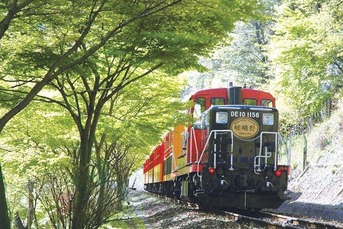 Sagano Romantic Train & Arashiyama, Kiyomizudera, Fushimi Inari Taisha Day Tour - Food Options: Japanese Feast Add-On and the Vegetarian Reality Check