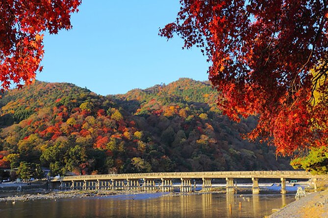 Sagano Romantic Train & Arashiyama, Kiyomizudera, Fushimi Inari Taisha Day Tour - Guide and Group Size: The Real Value Is How You Move Through Kyoto