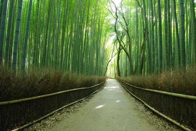 Sagano Romantic Train & Arashiyama, Kiyomizudera, Fushimi Inari Taisha Day Tour - The 9-Hour Flow: How the Day Stays Structured (Even If Timing Gets Tight)