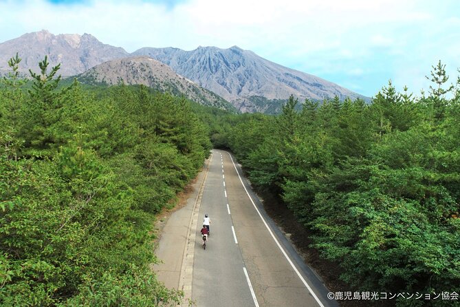 Sakurajima Century Lava Climb Journey with E-bike - Key Highlights Worth Your Time