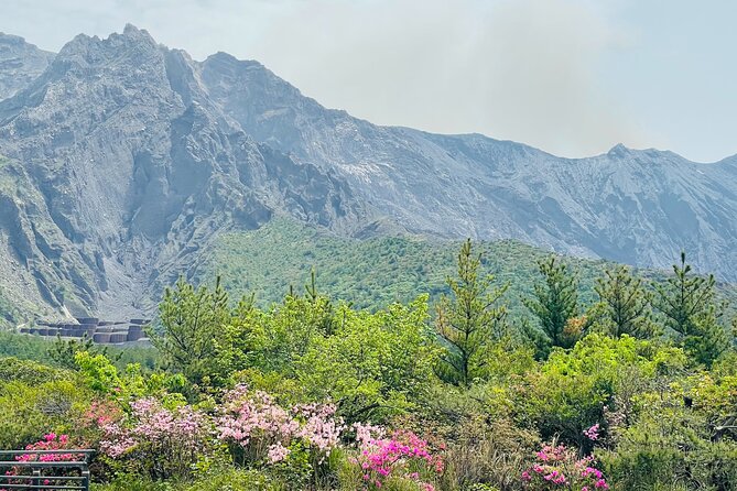 Sakurajima Century Lava Climb Journey with E-bike - The 3-Hour Plan: How the Ride and Viewing Fit Together