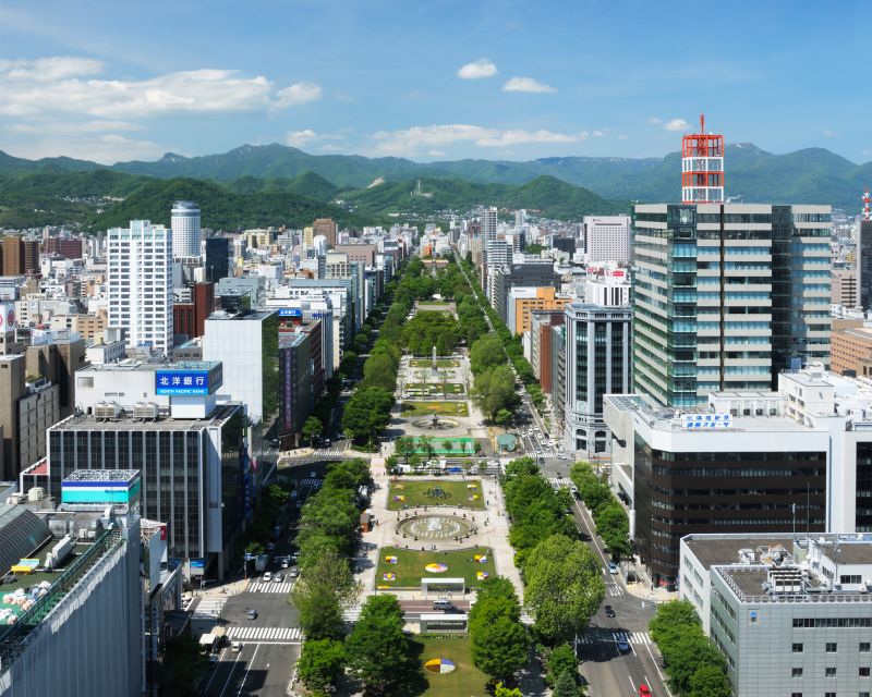 Sapporo TV Tower Admission Ticket - Festival viewing from above: Yosakoi Soran, Snow Festival, White Illumination