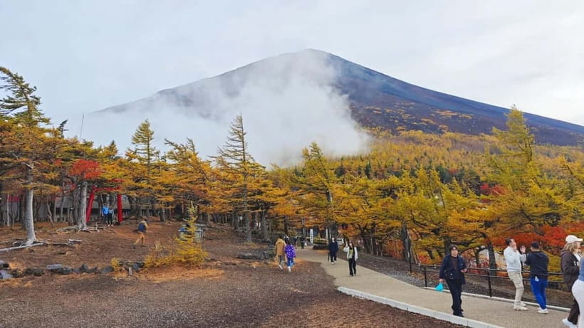 [Seasonal Limited] Mt. Fuji 5th Station &Hot Spring Day Tour - The 5th Station season, plus the winter backup at Shintaku-yama Asama Park