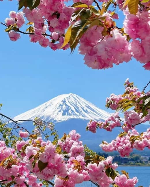 [Seasonal Limited] Mt. Fuji 5th Station &Hot Spring Day Tour - Weekday onsen versus weekend shopping at Gotemba Premium Outlets