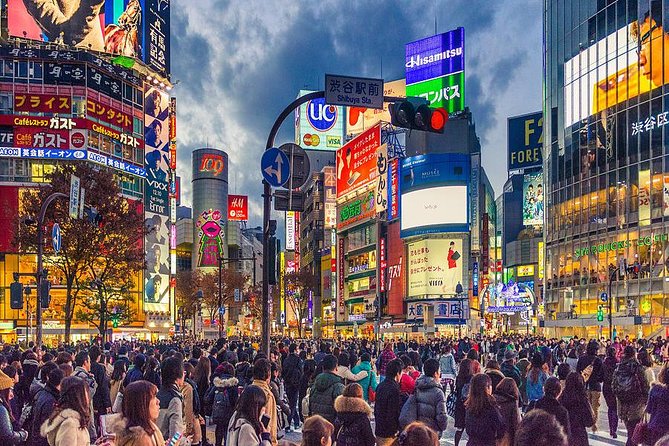 Shibuya All You Can Eat Best Food Tour The Original One in Tokyo - The food part: sushi, yakitori, yakiniku, takoyaki, desserts