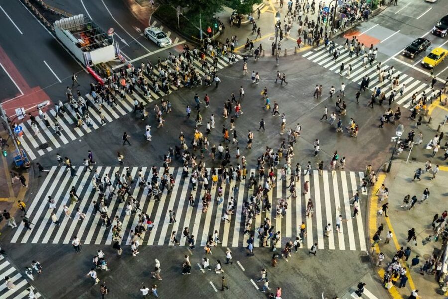 Shibuya & Harajuku: Hidden Gems & Highlights Private Tour - Price and Value: Why $64 Can Be a Good Deal in Tokyo
