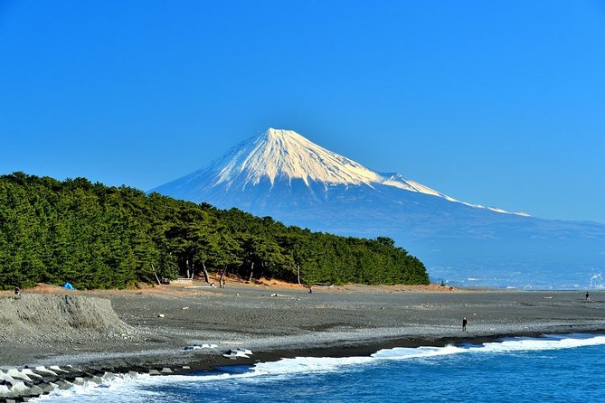Shizuoka/Shimizu Mt Fuji View 6 hr Private Tour: Guide Only - Key highlights you will actually feel in your day