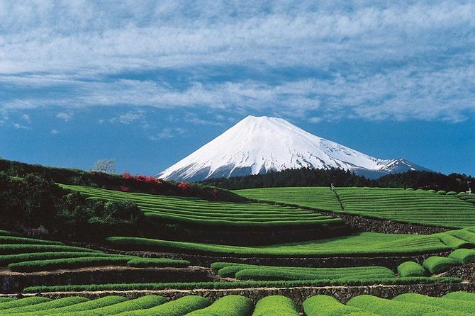 Shizuoka/Shimizu Mt Fuji View 6 hr Private Tour: Guide Only - Sumpu Castle Park, Shizuoka’s former power center