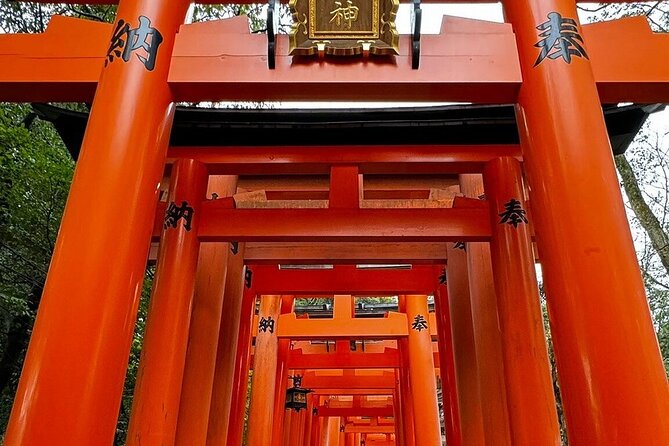 Single- & multi-day Adventures within Kyoto Nara Osaka Kobe - Key highlights to know before you go