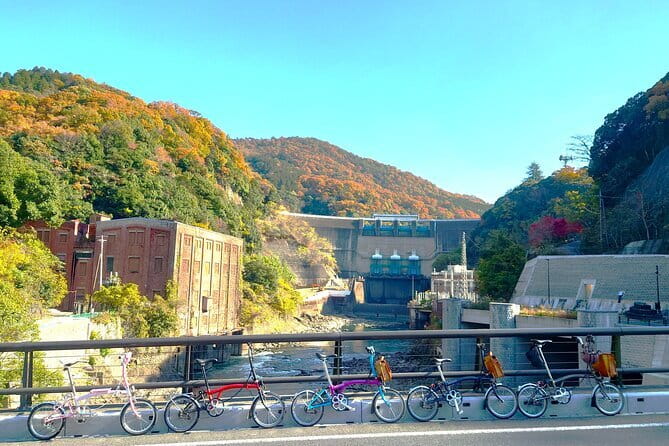 Slow Cycling Tour at Uji's Matcha Green Tea Fields and Heritage - Uji by Bike, Matcha Fields and Sacred Stops Without the Rush