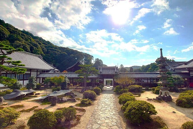 Slow Cycling Tour at Uji's Matcha Green Tea Fields and Heritage - Stop 1 at Chazuna: Tea Culture Context Before You See the Sights