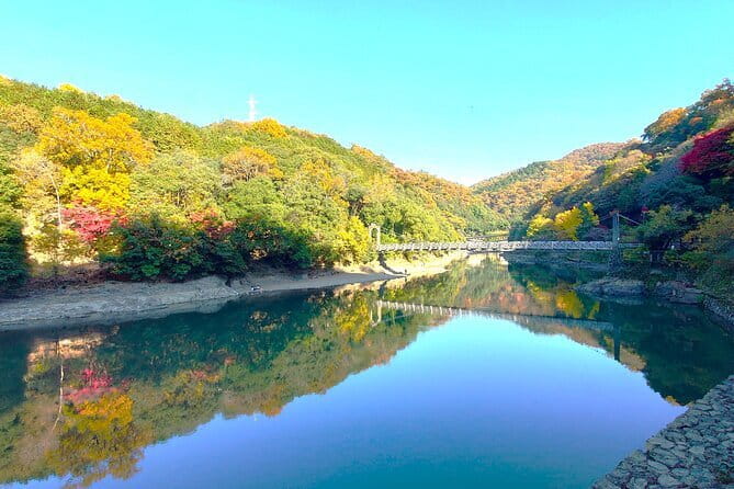 Slow Cycling Tour at Uji's Matcha Green Tea Fields and Heritage - Price and Value: What $130.46 Buys You in Real Terms