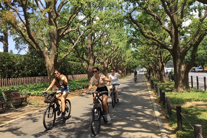 Small Group Cycling Tour in Tokyo - Shiodome: redevelopment, lunch break timing, and Tokyo Bay from above