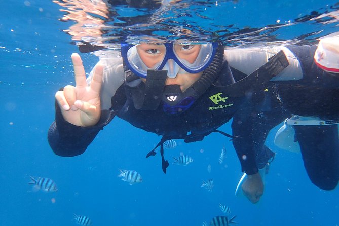 Snorkeling in the Blue Cave area【Okinawa Prefecture: Free feeding & photo images!English and Chinese speaking guide available! - Who this snorkeling tour fits best (and who should skip it)