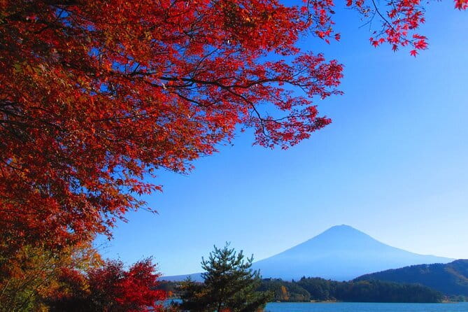 Snow Monkey Park and Miso Production Tour Bullet Train from Tokyo - Who should book, and who should think twice