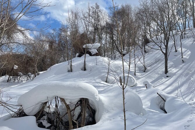 Snowshoeing and Onsen Adventures in a Winter Wonderland -Sapporo. - The Bankei Sanso circuit: what the 5-hour route feels like