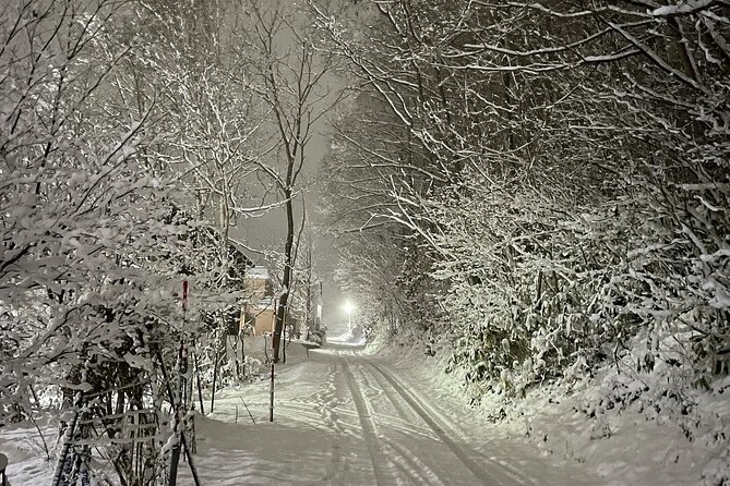 Snowshoeing and Onsen Adventures in a Winter Wonderland -Sapporo. - Price and value: what $224.02 buys you in real-world terms