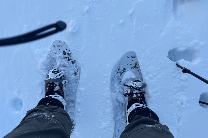 Snowshoeing and Onsen Adventures in a Winter Wonderland -Sapporo. - Small-group touring, with a coach who keeps you safe and moving