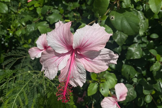 Spirit of Ishigaki: Explore the land and Lore - Kabira Bay, Sea Air, and Quick Bites of Local Food and History