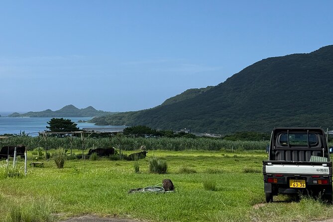 Spirit of Ishigaki: Explore the land and Lore - Oganzaki Lighthouse and the Emerald No Umi Viewing Platform