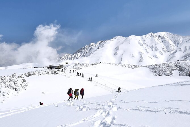 (Spring Only) 1-Day Snow Walls of Tateyama-Kurobe Alpine Route Tour - Kurobe Dam: engineering you can actually feel in the mountain air