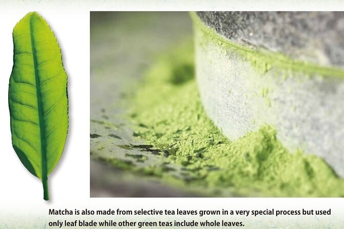 Tea Ceremony Workshop in Tokyo by the Experienced Instrucor - Koicha vs Usucha: Two Styles, Two Moods of Matcha