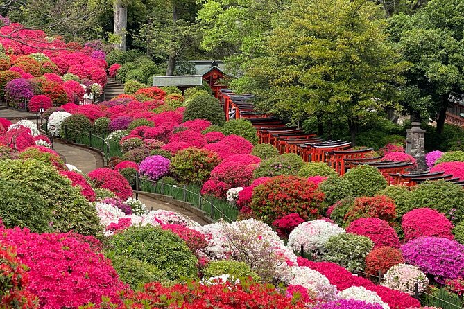 The Old Quarter of Tokyo - Yanaka Walking Tour - Yanaka Cemetery, learning customs in a place of quiet