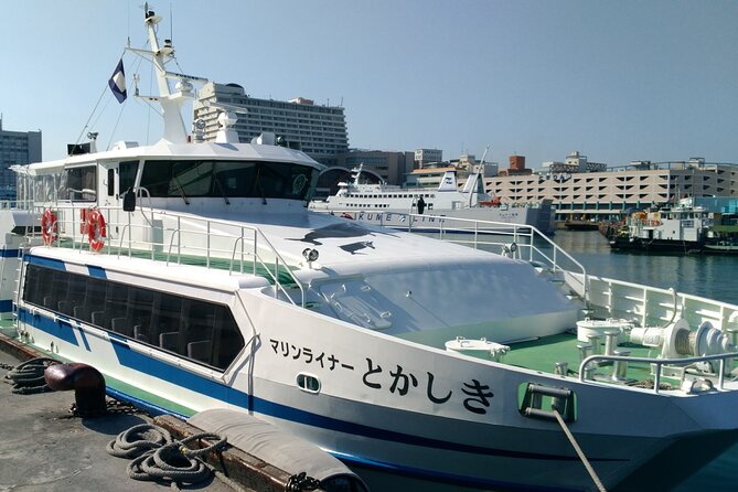 Tokashiki Island Day Trip from Naha - Weather, seasickness, and keeping your day on track