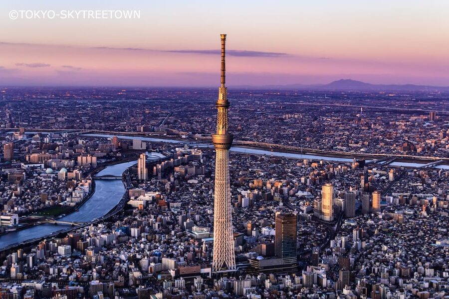 Tokyo: 1 Day Bus Tour with Meiji-Jingu,Odaiba,lunch&Skytree - Key Things You’ll Notice on This Hato Bus Tour