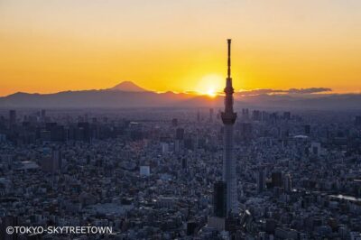 1 Day Bus Tour with Meiji-Jingu,Odaiba,lunch&Skytree