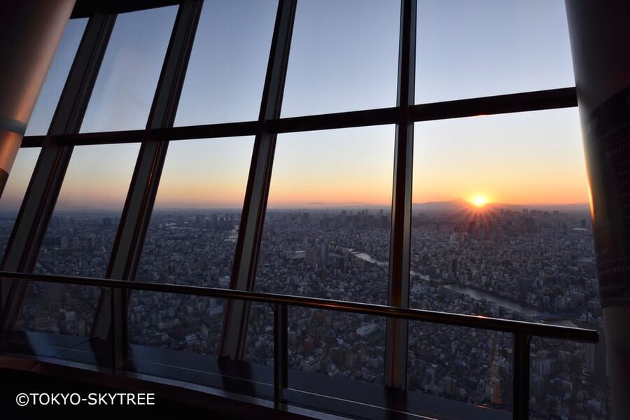 Tokyo: 1 Day Bus Tour with Meiji-Jingu,Odaiba,lunch&Skytree - Rainbow Bridge and Odaiba: Waterfront Time for Shopping and Photos