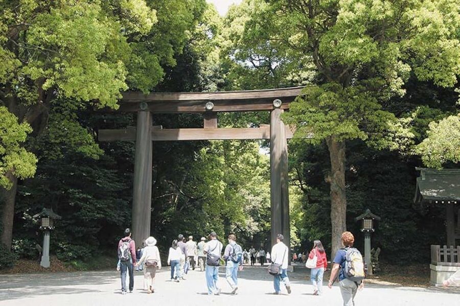 Tokyo: 1 Day Bus Tour with Meiji-Jingu,Odaiba,lunch&Skytree - Asakusa and Senso-ji: Old Tokyo in a Focused Walking Burst