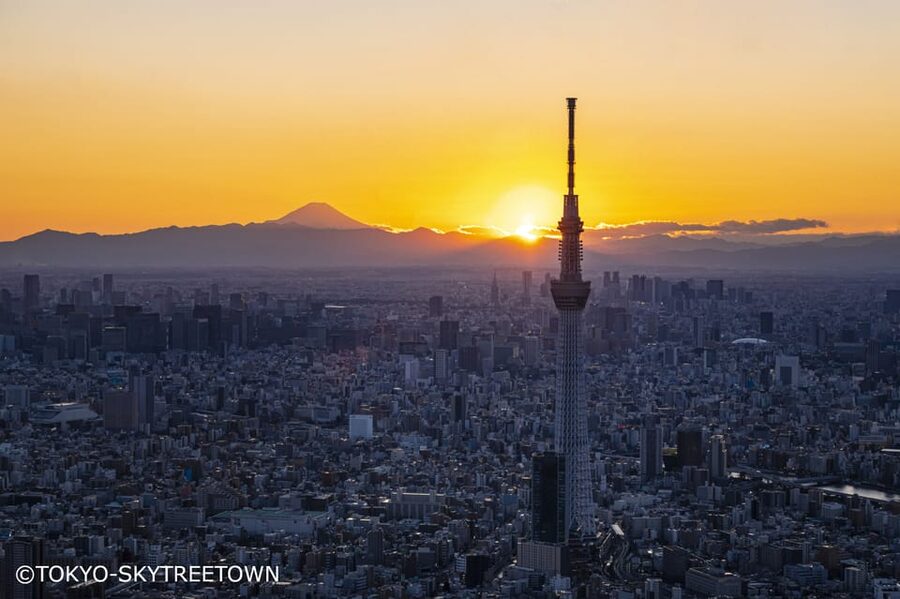 Tokyo: 1 Day Bus Tour with Meiji-Jingu,Odaiba,lunch&Skytree - Meeting Points and Getting Seated Without Stress