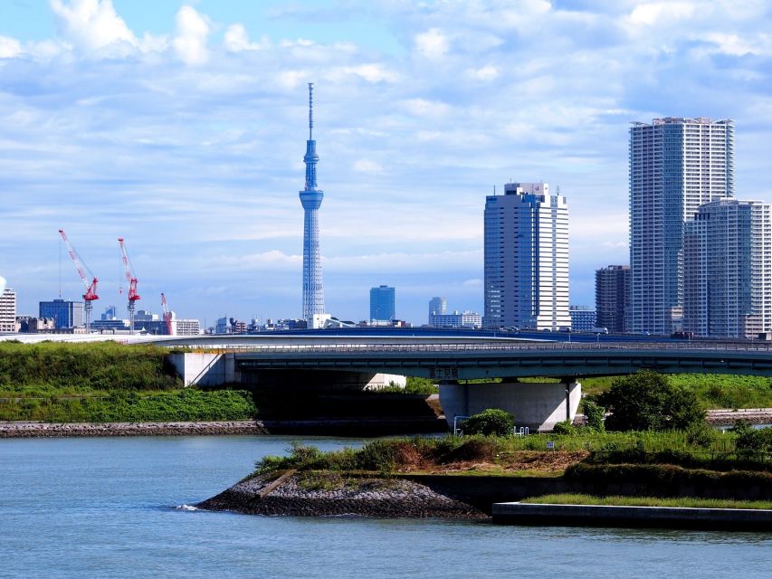 Tokyo: 1-Day Private Customizable Tour by Car - Meiji Shrine: the calm reset in the middle of the city