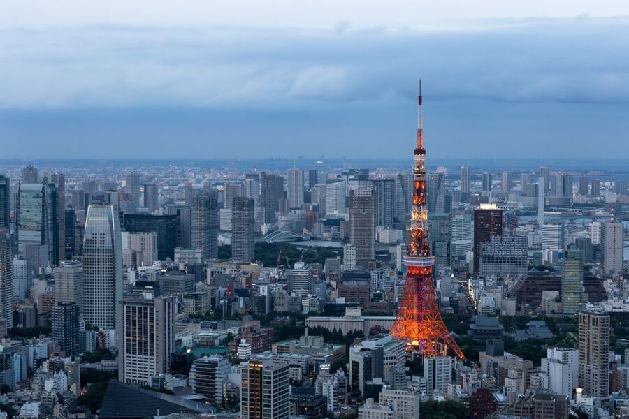 Tokyo: 1-Day Private Customizable Tour by Car - Pickup, timing, and how the day actually flows