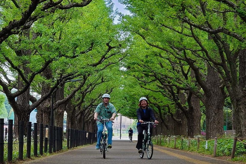 Tokyo: 3h Private E-bike Tours, Starting at Your Hotel - Hotel-to-hotel pickup that saves your first day in Tokyo