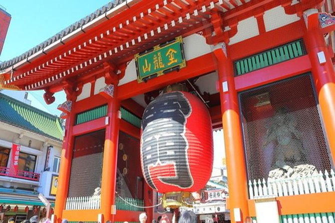 Tokyo 4hr Private Tour with Government-Licensed Guide - The pace and logistics that can make or break a half-day