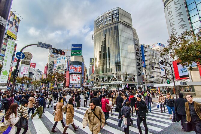Tokyo 6hr Instagram Highlights Private Tour with Licensed Guide - Why Tokyo photo “highlights” feel different with a licensed guide