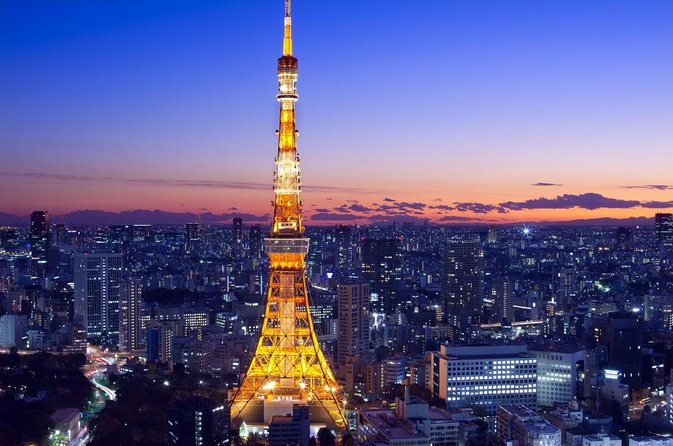 Tokyo 6hr Private Tour with Government-Licensed Guide - Key things I’d watch for before you go