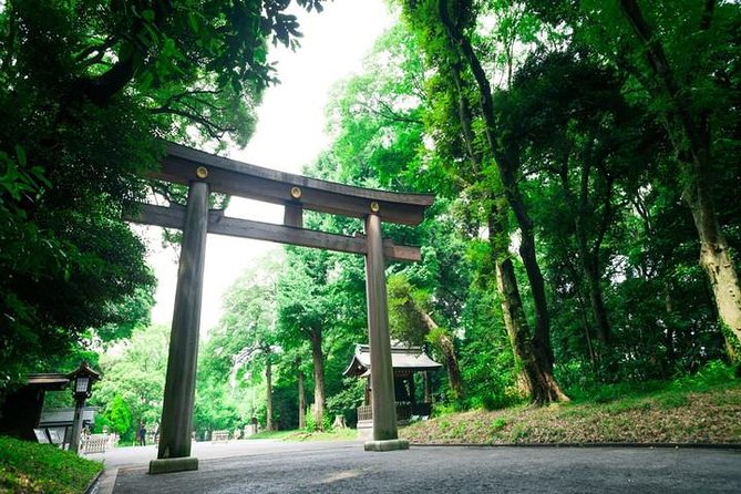 Tokyo 6hr Private Tour with Government-Licensed Guide - Imperial Palace Grounds: Moats, Stone Walls, and Edo-Period Context