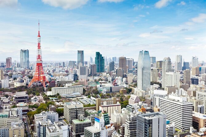 Tokyo 8hr Private Tour with Government-Licensed Guide - How the 4 to 6 stop plan works, and how to choose your best mix