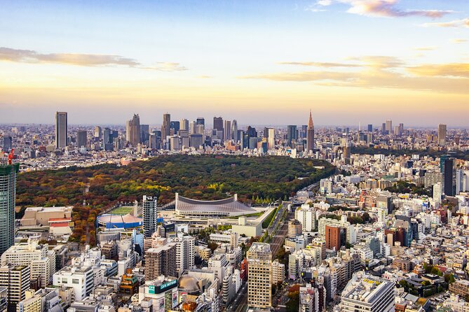 Tokyo 8hr Private Tour with Licensed Guide from Yokohama - Choosing your Tokyo mix from the site menu