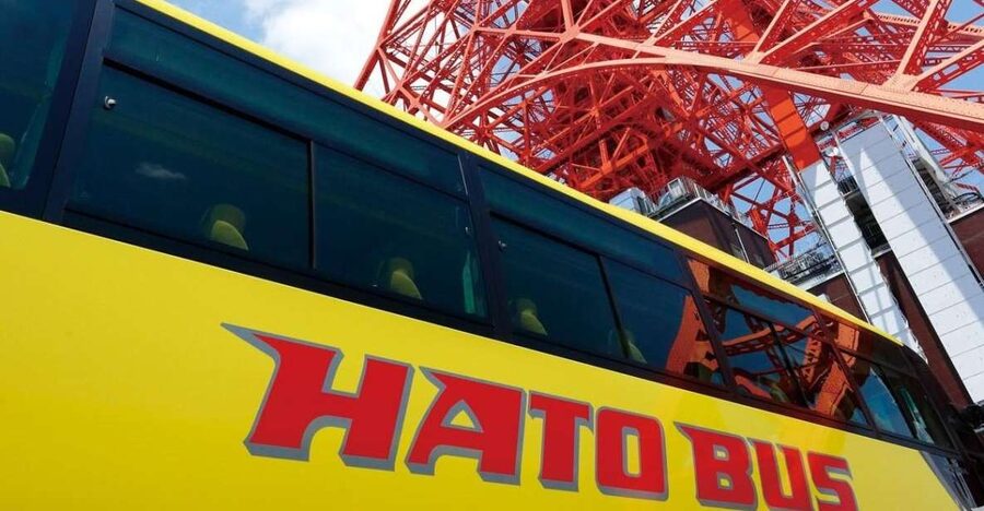 Tokyo: A Half-Day Trip Bus Tour in the Morning - Small Tradeoffs to Know Before You Go
