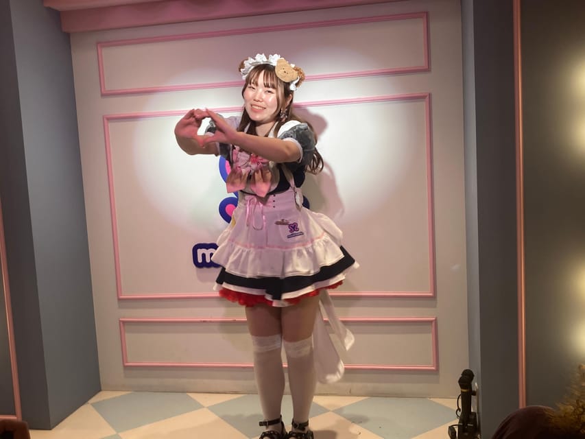 Tokyo Akihabara, Anime, Manga, Video Games & Maid Cafe Tour - Price and logistics: where the $38 really goes