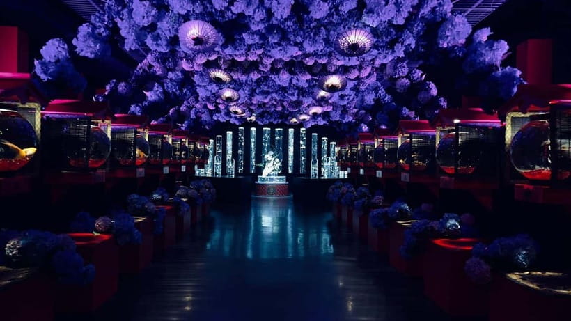 Tokyo: Art Aquarium Museum GINZA Entry Ticket - Photography Rules and How to Get Clean Shots in Tight Spaces